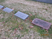 Frederick Kountz's Family Plot